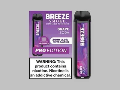 BREEZE 2000